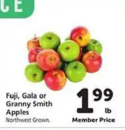 Safeway Fuji, Gala or Granny Smith Apples offer