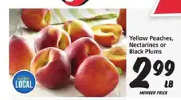 Safeway Yellow Peaches, Nectarines or Black Plums offer