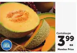 Safeway Cantaloupe offer