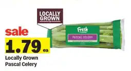 Meijer Locally Grown Pascal Celery offer