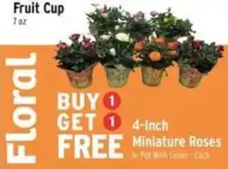 Brookshire's Floral 4-inch Miniature Roses offer