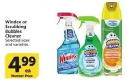 Vons Windex or Scrubbing Bubbles Cleaner offer