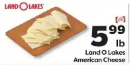 Weis Markets Land O Lakes American Cheese offer
