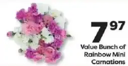 Weis Markets Value Bunch of Rainbow Mini Carnations offer
