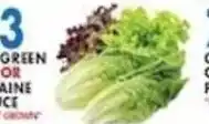 Associated 3 green or raine lettuce offer