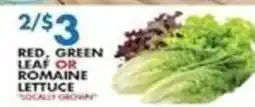 Associated Red, Green Leaf Or Romaine Lettuce offer
