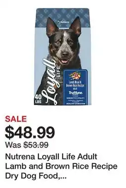 Tractor Supply Company Nutrena Loyall Life Adult Lamb and Brown Rice Recipe Dry Dog Food, 40 lb. Bag offer