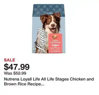 Tractor Supply Company Nutrena Loyall Life All Life Stages Chicken and Brown Rice Recipe Dry Dog Food, 40 lb. Bag offer