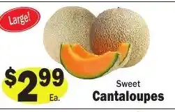 Sellers Bros Sweet Cantaloupes offer