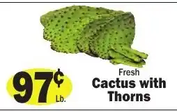 Sellers Bros Fresh Cactus with Thorns offer