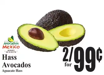 Hass Avocados