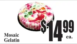 Baja Ranch Mosaic Gelatin offer