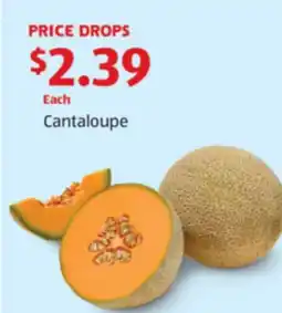 Aldi Cantaloupe offer