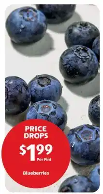 Aldi Blueberries offer