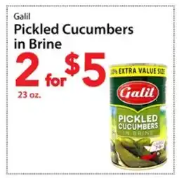 Three Guys from Brooklyn Galil Pickled Cucumbers in Brine offer