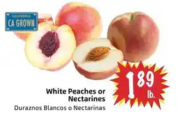Foodmaxx White Peaches or Nectarines offer