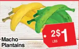 Superior Grocers Macho Plantains offer