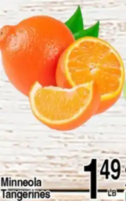 Superior Grocers Minneola Tangerines offer