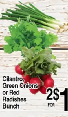 Superior Grocers Cilantro, Green Onions or Red Radishes Bunch offer