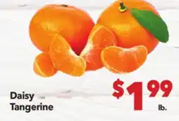 Vallarta Supermarkets Daisy Tangerine offer
