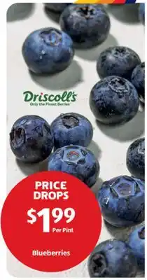 Aldi Driscoll's Blueberries offer