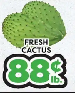 Torres Supermercado FRESH CACTUS offer