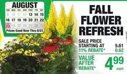 Menards FALL FLOWER REFRESH offer