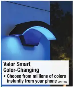 Menards Valor Smart Color-Changing DECORATIVE OUTDOOR LIGHTS offer