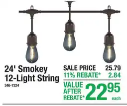 Menards 24' Smokey 12-Light String offer