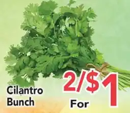 Eurofresh Market Cilantro Bunch offer