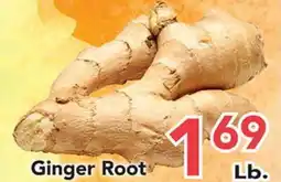 Eurofresh Market Ginger Root offer