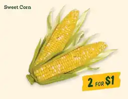Sprouts Farmers Market Sweet Corn offer