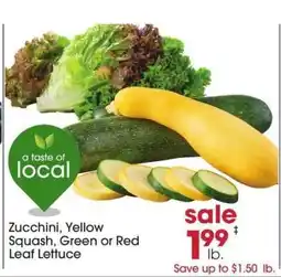 Giant Eagle Zucchini, Yellow Squash, Green or Red Leaf Lettuce offer