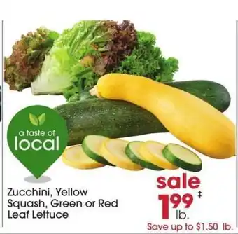 Zucchini, Yellow Squash, Green or Red Leaf Lettuce