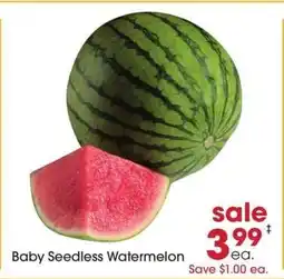 Giant Eagle Baby Seedless Watermelon offer