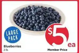 Safeway Blueberries offer