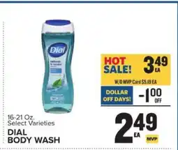 Food Lion Dial Body Wash offer