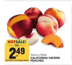 Food Lion CALIFORNIA GROWN PEACHES offer