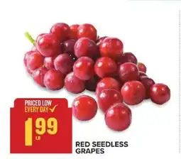 Food Lion Red Seedless Grapes offer
