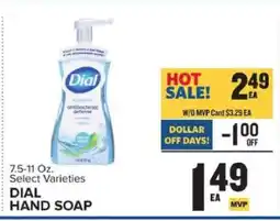 Food Lion Dial Hand Soap offer