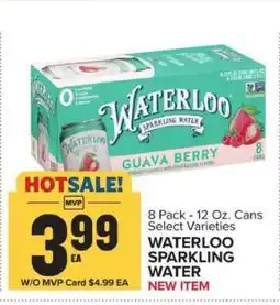 Food Lion Waterloo Sparkling Water offer
