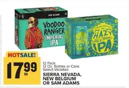 Food Lion Sierra Nevada, New Belgium or Sam Adams offer