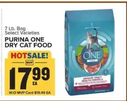 Food Lion Purina One Dry Cat Food offer