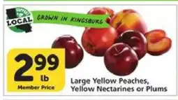 Albertsons Large Yellow Peaches, Yellow Nectarines or Plums offer