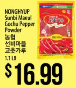 Hmart NONGHYUP Sunbi Maeul Gochu Pepper Powder offer