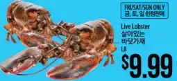 Hmart Live Lobster offer