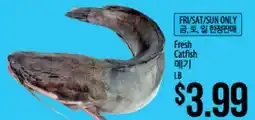 Hmart Fresh Catfish offer