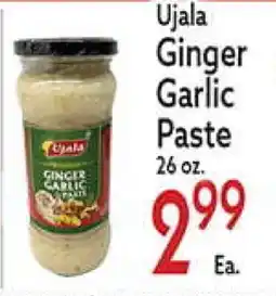 World Fresh Market Ujala Ginger Garlic Paste offer