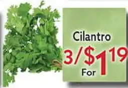 World Fresh Market Cilantro offer
