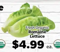 Living Fresh Market Fresh Organic Romaine Lettuce offer